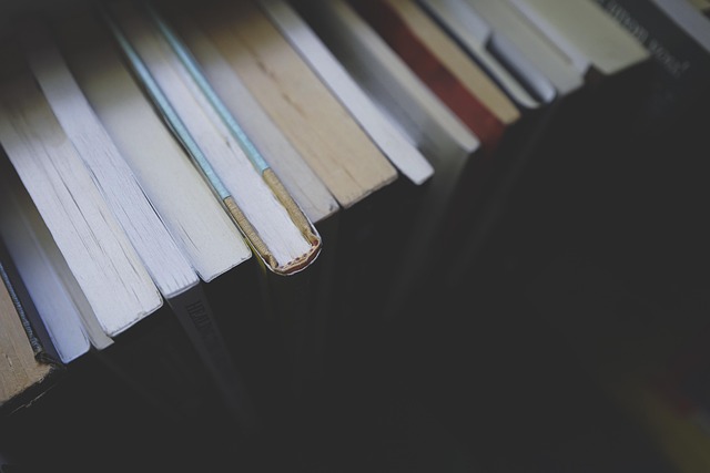 Bibliothèque et ressources professionnelles