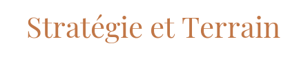 Stratégie et Terrain